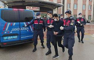 Jandarma’dan PKK’ya ağır darbe
