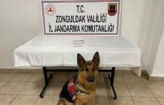 Jandarmadan uyuşturucu operasyonu; 1 gözaltı