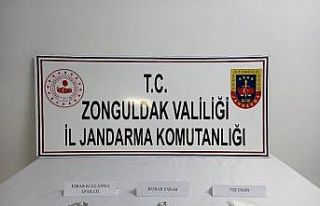 Jandarmadan uyuşturucu operasyonu: 2 gözaltı