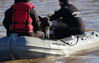 Jandarmanın kadavra köpekleri Çanakkale’de ilki...