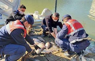 Kaçak balık avcılarına geçit yok