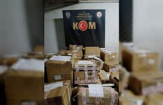 Kaçakçılık polisinden 900 bin TL’lik operasyon