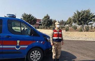 Kahramanmaraş’ta mutasyonlu virüs yayılıyor