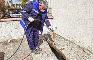 Kahramanmaraş’ta sivrisineklerin üreme alanları...