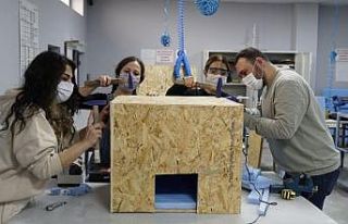 Kapadokya Üniversitesi Pati Topluluğu sokak hayvanlarına...