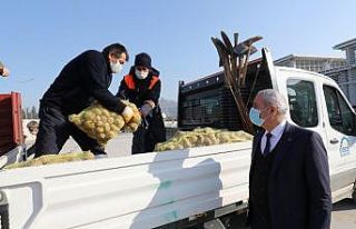 Kapı kapı gezerek İhtiyaç sahiplerine 25 ton patates...