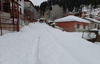 Kar görmeye gitmek pahalıya patladı