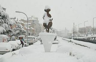 Kar kalınlığı 30 santimetreyi buldu, temizlik...