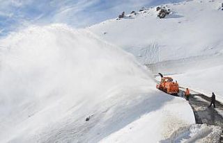Kar kaplanlarının zorlu kış mesaisi