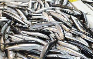 Kar ve fırtına balık tezgahlarını vurdu