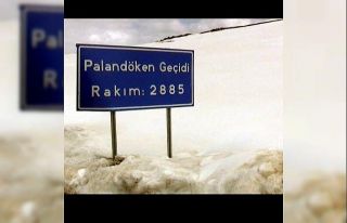 Kar ve tipi nedeniyle Tekman yolu ulaşıma kapandı