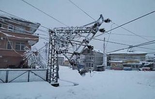 Kar yağışı elektrik direklerini devirdi