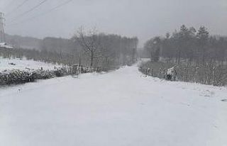 Kar yağışı köy yollarını ulaşıma kapattı