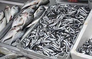 Kar yağışları balık tezgahlarını etkiledi