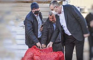 Karacabey’in kırmızı soğanı koronadan koruyor