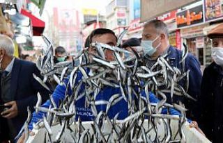 Karadeniz-Ege hamsi polemiği