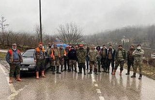 Karadeniz’de domuz popülasyonu çok arttı