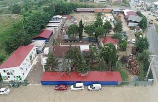 Karadeniz’in en kapsamlı hayvan hastanesi Ordu’da...