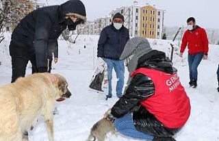 Karda kışta onların yanındalar