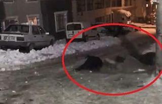 Karda poşetle kayan gençlerin eğlencesi kötü...