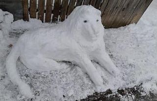 Kardan gelin yapıp, kına gecesi düzenlediler