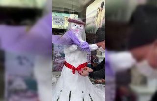 Kardan gelin yaptılar, takılan paralarla sokak hayvanlarına...