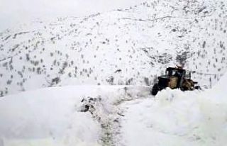 Kardan yolu kapanan mezradaki hasta paletli ambulansla...