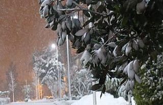Karın tadını en çok çocuklar çıkardı