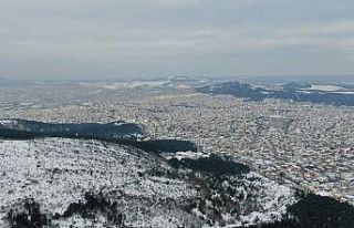 Karlar altındaki Aydos ormanında kartpostallık...