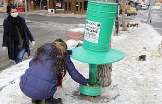Kars’ta belediye sokak hayvanlarına yiyecek bıraktı