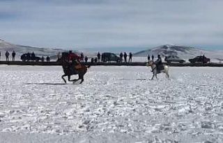 Kars’ta kar üzerinde cirit coşkusu