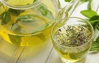 Kartepe’de tıbbi nane yetiştiriciliği için harekete...