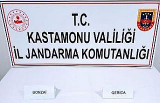 Kastamonu’da 40 adet uyuşturucu hap ele geçirildi