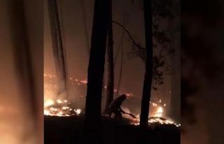 Kastamonu’da orman yangını: Ekipler müdahale...