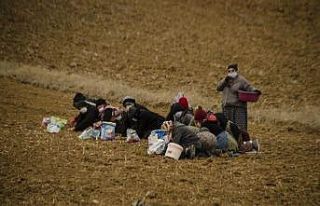 Kastamonu’da sarımsak üreticileri yağmuru bekliyor