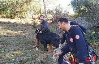 Kayalıklarda mahsur kalan keçi kurtarıldı