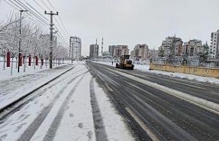 Kayapınar’da karla mücadele seferberliği