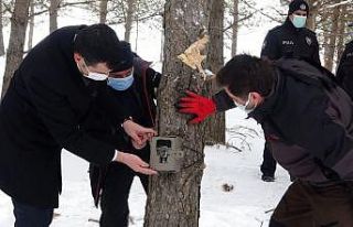 Kaymakam doğaya yem bırakarak, belirli bölgelere...