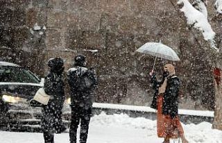 Kayseri’de beyaz şölen