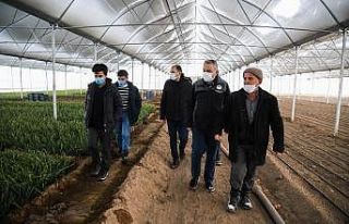 Kayseri’de yeni nesil seralarla üreticiler karlı...