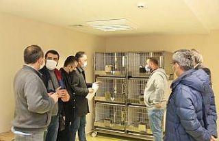 KBÜ DETUM ekibi ‘MEDİTAM’ ve ‘REMER´de incelemelerde...