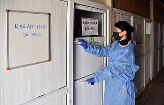 Kedilerde görülen FIP hastalığında yaşanan artış...