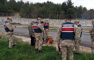 Keklik kafesleri yakılarak imha edildi