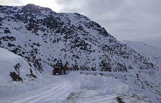 Kemaliye’de 3 çocuk annesi kadının evinde asılı...