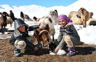 Kendileri küçük sorumlulukları büyük