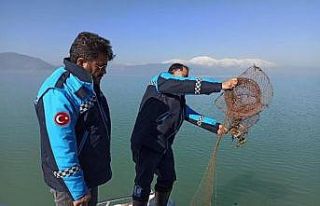 Kerevit üretiminde birinci sıradaki Eğirdir Gölü’nde...