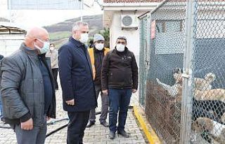 Kılıç: "Can dostlar için daha çok hassasiyet...