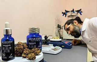 Kilosu araç değerinde yok satıyor