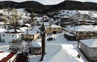 Kırlangıç örtülü cami, mimarisi ile dikkat çekiyor