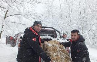 Kirmasti Off Road’tan yaban hayatına destek